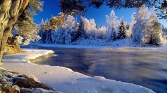 landscape nature winter river ice snow Trees