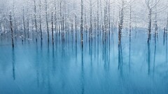 landscape reflection blue snowing white winter snow pond