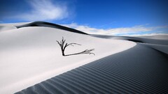 landscape sand Trees desert sky clouds