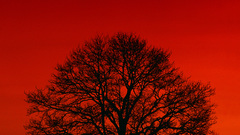 Landscape scene apocalyptic colors natural amp Almost