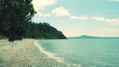 landscape Sea beach nature outdoors