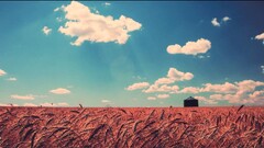 landscape sky wheat clouds field Plants