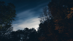 landscape Trees colorful sky Stars
