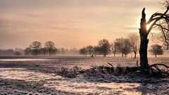 landscape Trees frost winter sunlight nature bicycle outdoors