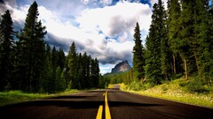 landscape Trees sky clouds road pine trees Canada asphalt
