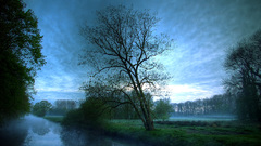 landscape Trees water canal mist nature blue Green