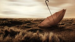 landscape umbrella sky nature Beige dry grass brown