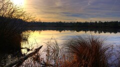 landscape water nature