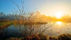 landscape water sunlight nature outdoors