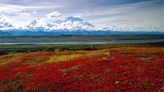 Landscapes Alaska brilliant colors national park