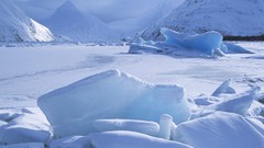 Landscapes Alaska frozen lake icebergs