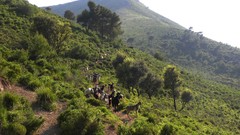 Landscapes Animals bushes Goats