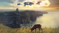 Landscapes Animals coast deer Scotland Photo manipulation