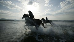 Landscapes Animals Horses 3d