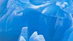 Landscapes Animals ice Penguins icebergs