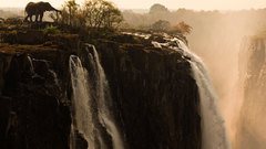 Landscapes Animals national geographic