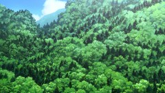 Landscapes Anime forests