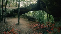 Landscapes arch Princess red river Daniel Boone National Forest