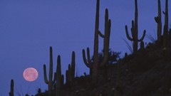 Landscapes Arizona full moon National