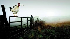 Landscapes artwork digital art skyscapes