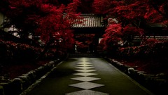 Landscapes Asia Bridges Culture