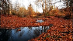 Landscapes autumn