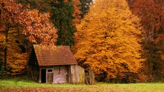 Landscapes autumn cottage forests