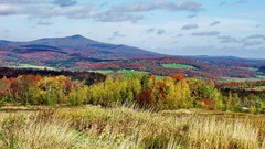 Landscapes autumn forests