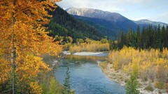 Landscapes autumn forests
