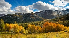 Landscapes autumn forests