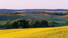 Landscapes autumn harvest