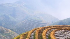 Landscapes autumn harvest