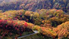 Landscapes autumn Hokkaido Japanese scenery etc. Temples colours