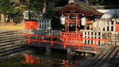 Landscapes autumn maple-leaf shrine