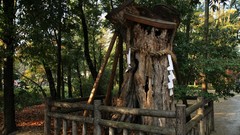 Landscapes autumn maple-leaf shrine