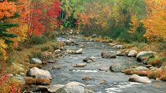 Landscapes autumn rivers nature