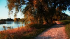 Landscapes autumn roads
