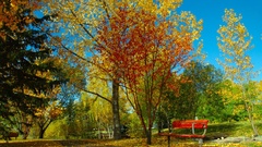 Landscapes autumn season nature