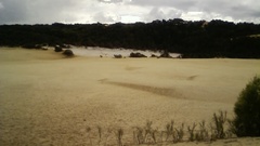 Landscapes beach nature