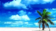 Landscapes beach skyscapes Pacific