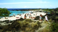 Landscapes Beaches beech