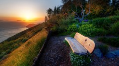Landscapes bench