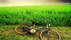 Landscapes Bicycles