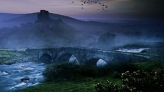 Landscapes Birds Bridges mist