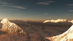 Landscapes Birds Journey