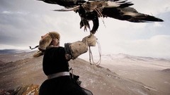 Landscapes Birds national geographic