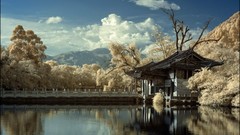 Landscapes black Japan Parks
