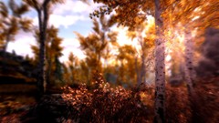 Landscapes blurred the elder scrolls v skyrim forests video 