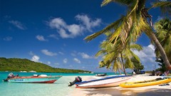 Landscapes Boats palm trees Oceans Beaches Trinidad and Tobago 
