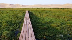 Landscapes Bridges mongolia bing sand dunes marshland